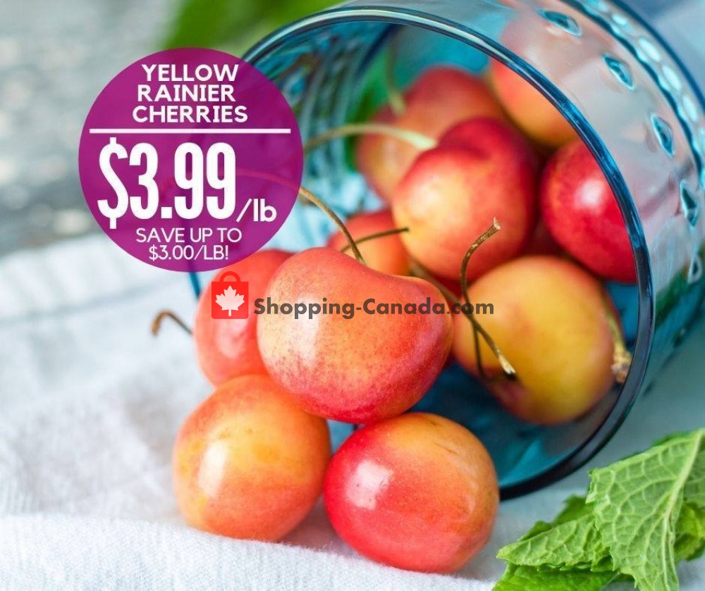 Dutchie's Fresh Market flyer from Tuesday July 23, 2019 to Tuesday July 23, 2019 - page 16