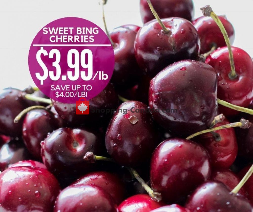 Dutchie's Fresh Market flyer from Friday July 19, 2019 to Friday July 19, 2019 - page 15