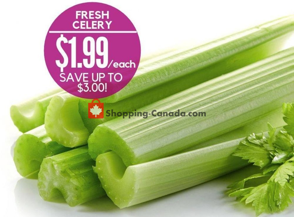 Dutchie's Fresh Market flyer from Friday July 19, 2019 to Friday July 19, 2019 - page 7