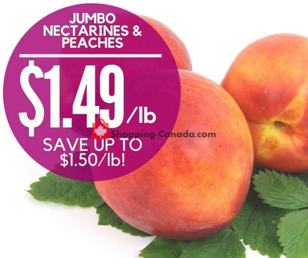 Dutchie's Fresh Market flyer from Wednesday July 10, 2019 to Wednesday July 10, 2019 - page 12