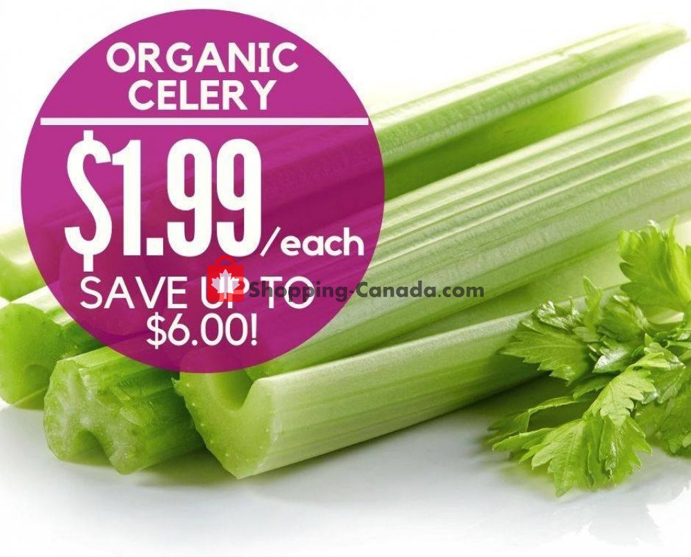 Dutchie's Fresh Market flyer from Wednesday July 10, 2019 to Wednesday July 10, 2019 - page 6