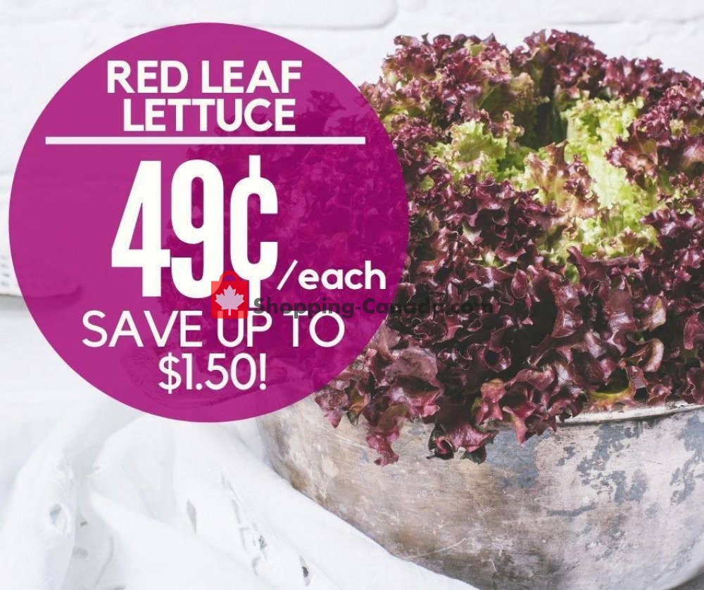 Dutchie's Fresh Market flyer from Wednesday July 10, 2019 to Wednesday July 10, 2019 - page 7