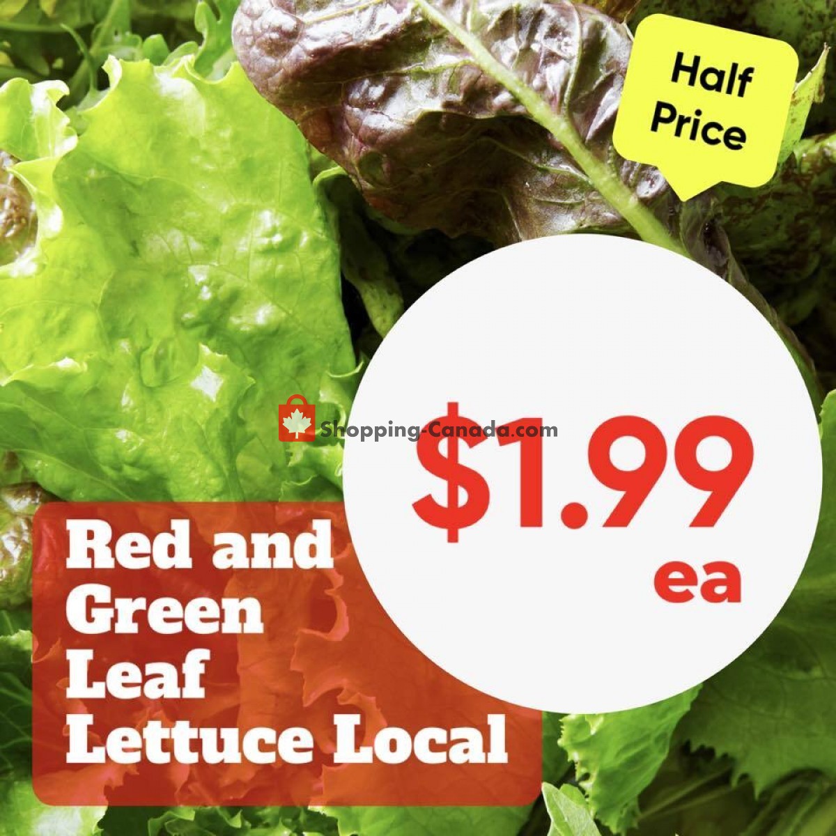 Dutchie's Fresh Market flyer from Friday January 20, 2023 to Friday January 20, 2023 - page 13