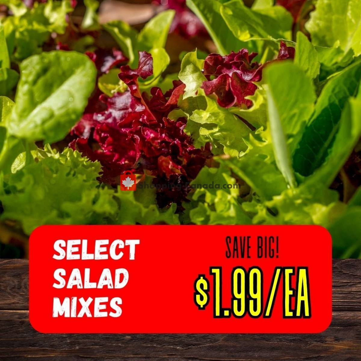 Dutchie's Fresh Market flyer from Friday June 23, 2023 to Friday June 23, 2023 - page 20