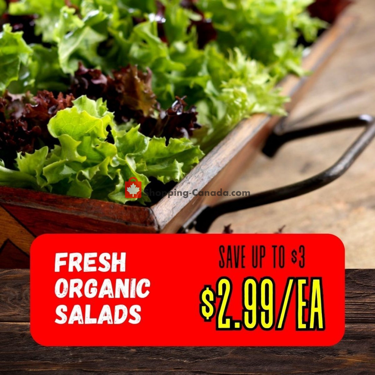 Dutchie's Fresh Market flyer from Friday June 23, 2023 to Friday June 23, 2023 - page 41