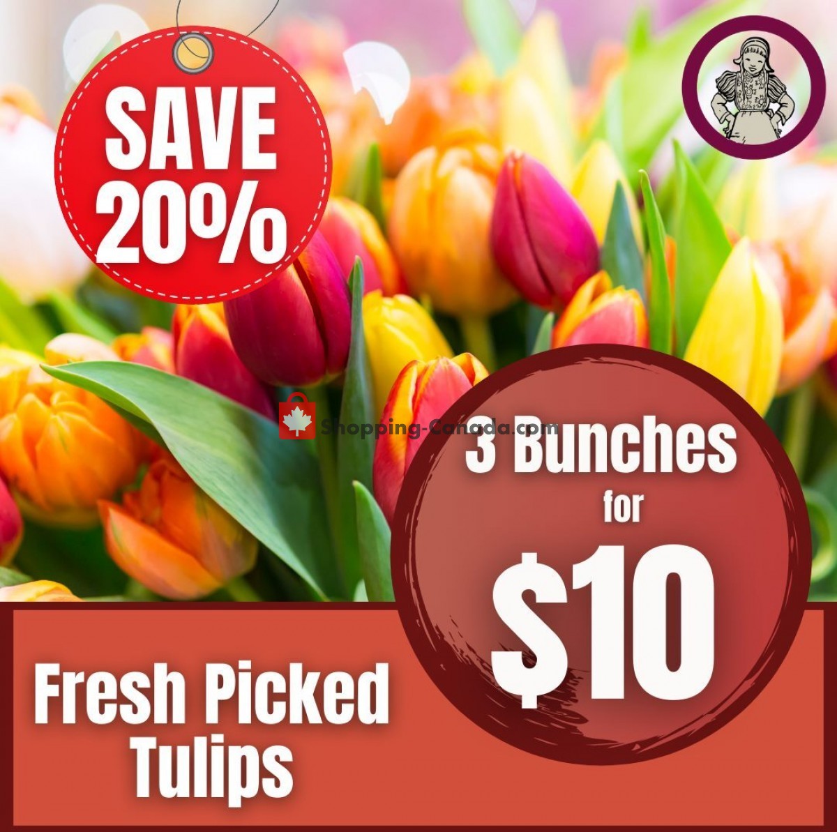 Dutchie's Fresh Market flyer from Thursday April 22, 2021 to Thursday April 22, 2021 - page 33
