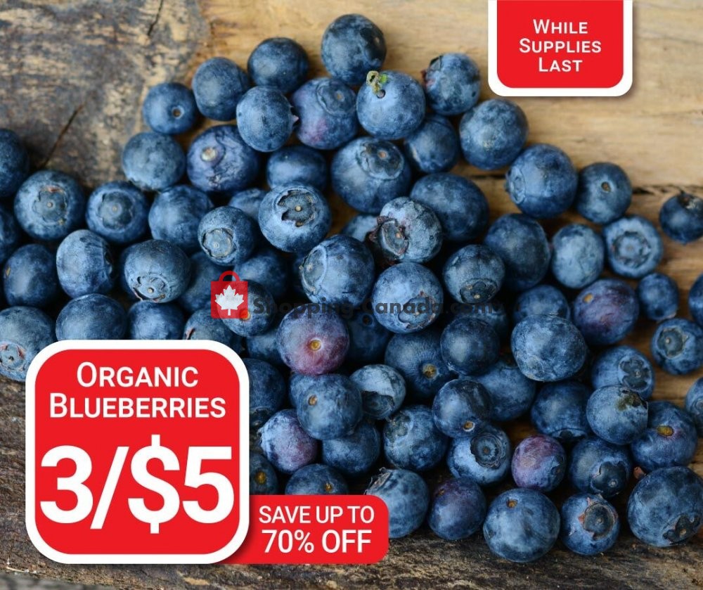 Dutchie's Fresh Market flyer from Thursday December 17, 2020 to Thursday December 17, 2020 - page 16