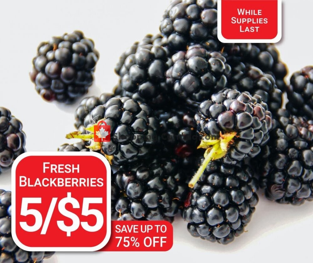 Dutchie's Fresh Market flyer from Thursday October 15, 2020 to Thursday October 15, 2020 - page 13
