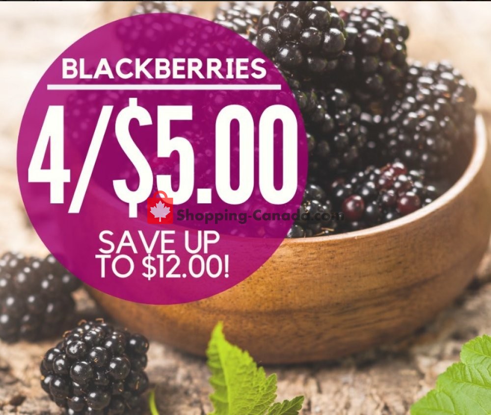 Dutchie's Fresh Market flyer from Tuesday July 9, 2019 to Tuesday July 9, 2019 - page 4
