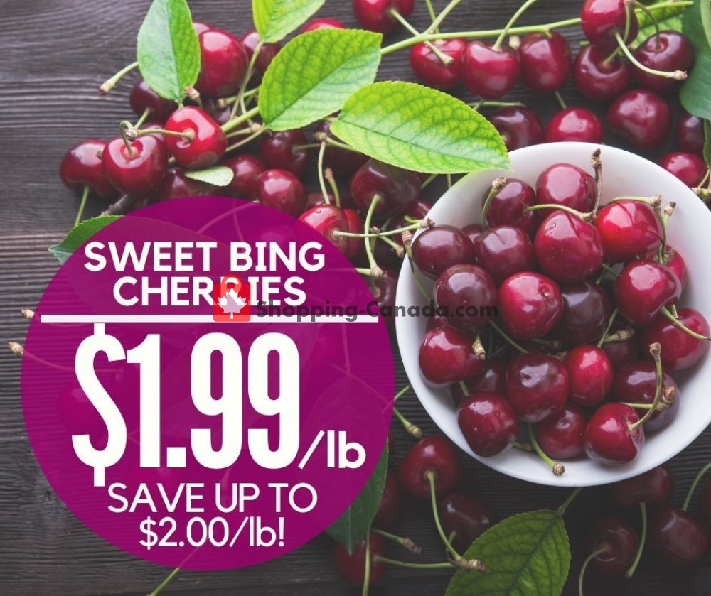 Dutchie's Fresh Market flyer from Tuesday July 9, 2019 to Tuesday July 9, 2019 - page 8