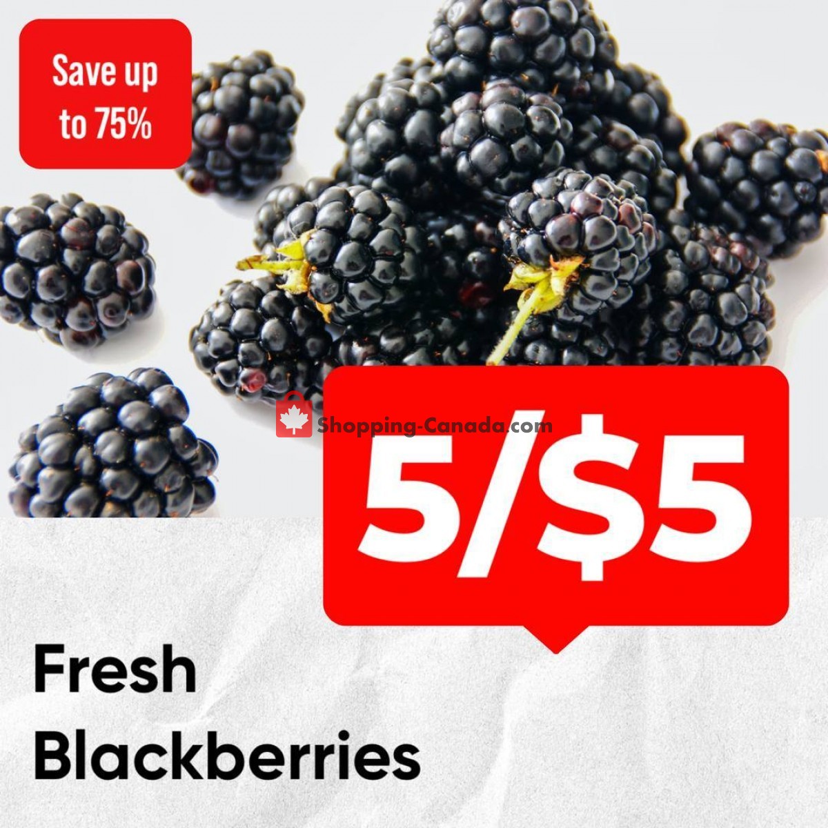 Dutchie's Fresh Market flyer from Tuesday January 17, 2023 to Tuesday January 17, 2023 - page 13
