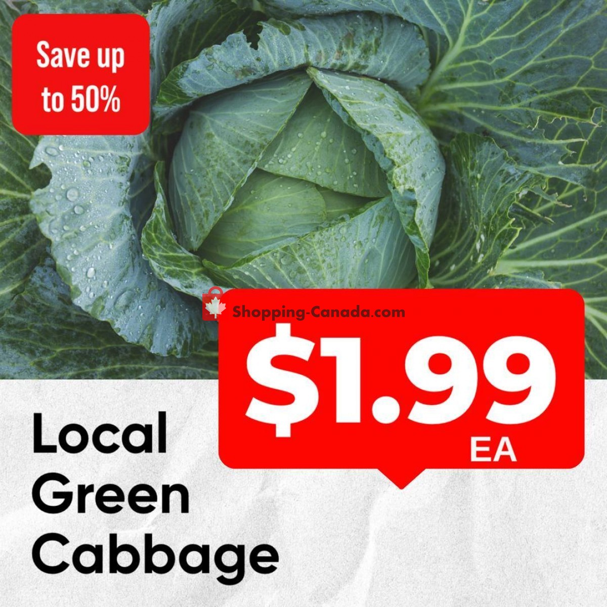 Dutchie's Fresh Market flyer from Tuesday January 17, 2023 to Tuesday January 17, 2023 - page 6