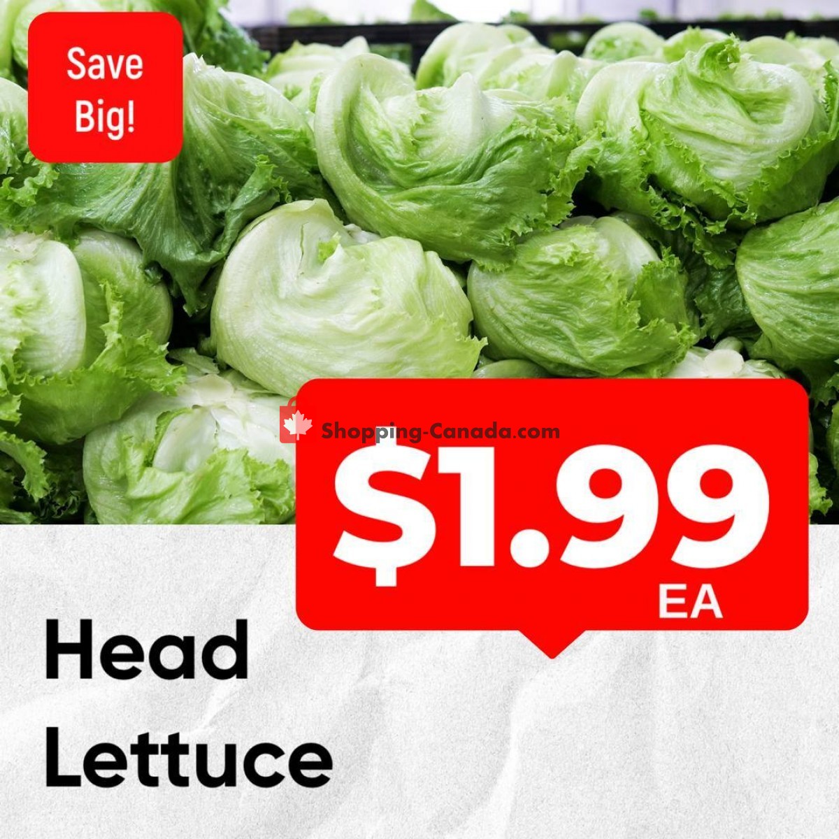 Dutchie's Fresh Market flyer from Tuesday January 17, 2023 to Tuesday January 17, 2023 - page 8