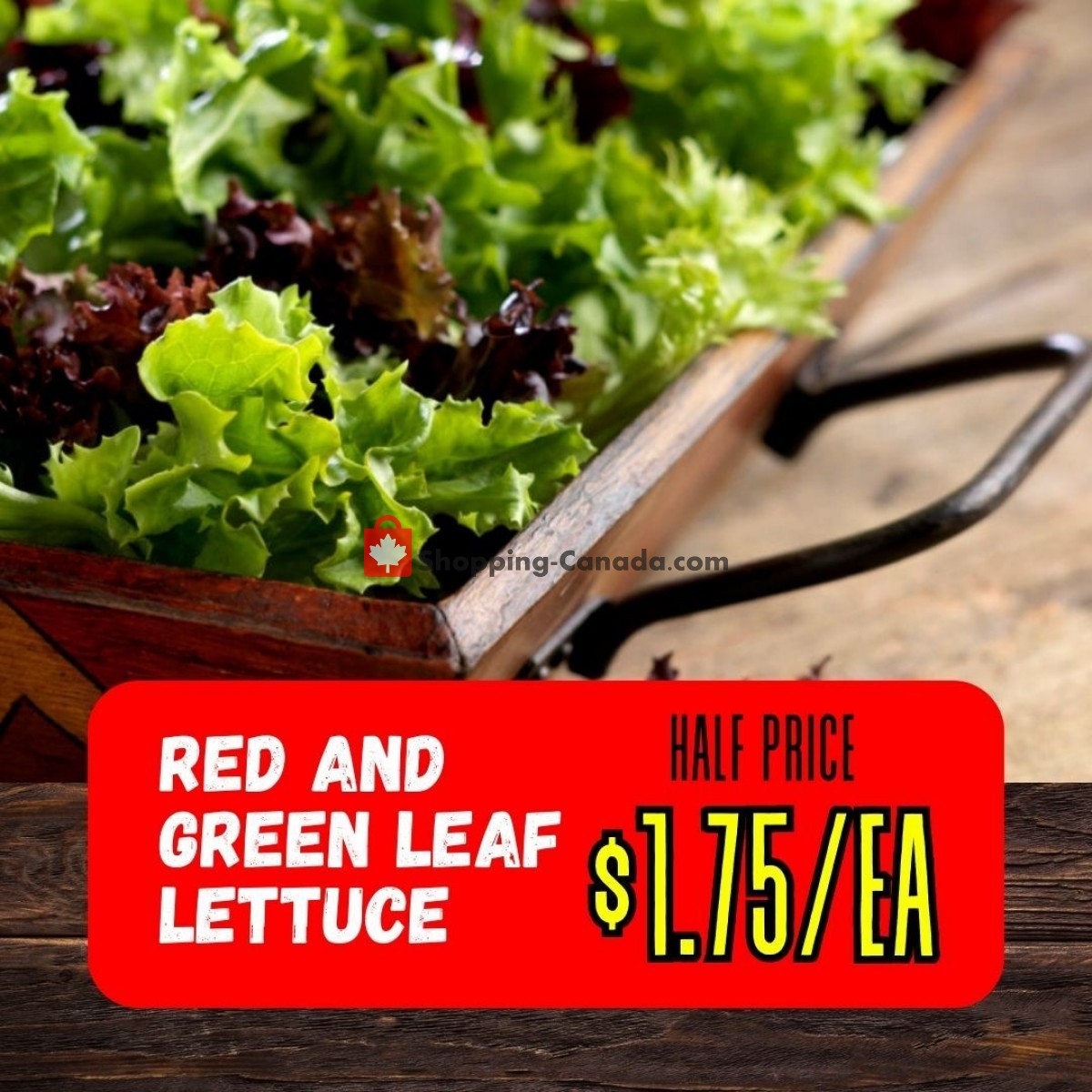 Dutchie's Fresh Market flyer from Tuesday June 20, 2023 to Tuesday June 20, 2023 - page 43