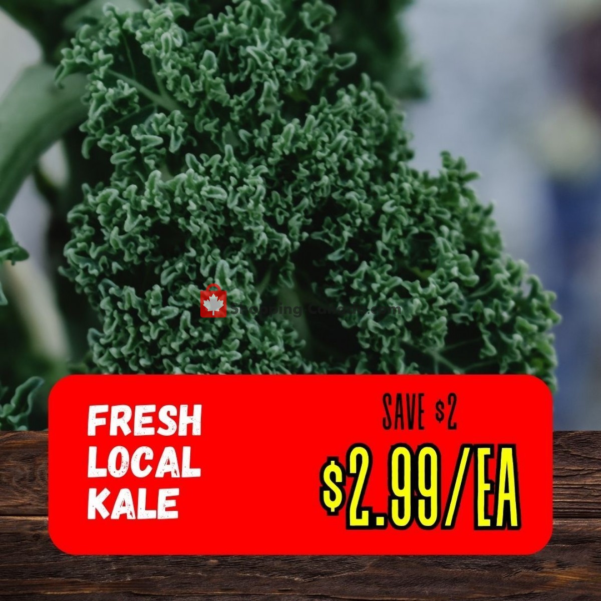 Dutchie's Fresh Market flyer from Tuesday June 20, 2023 to Tuesday June 20, 2023 - page 45