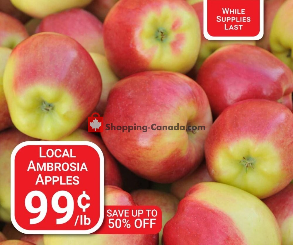 Dutchie's Fresh Market flyer from Tuesday December 22, 2020 to Tuesday December 22, 2020 - page 13