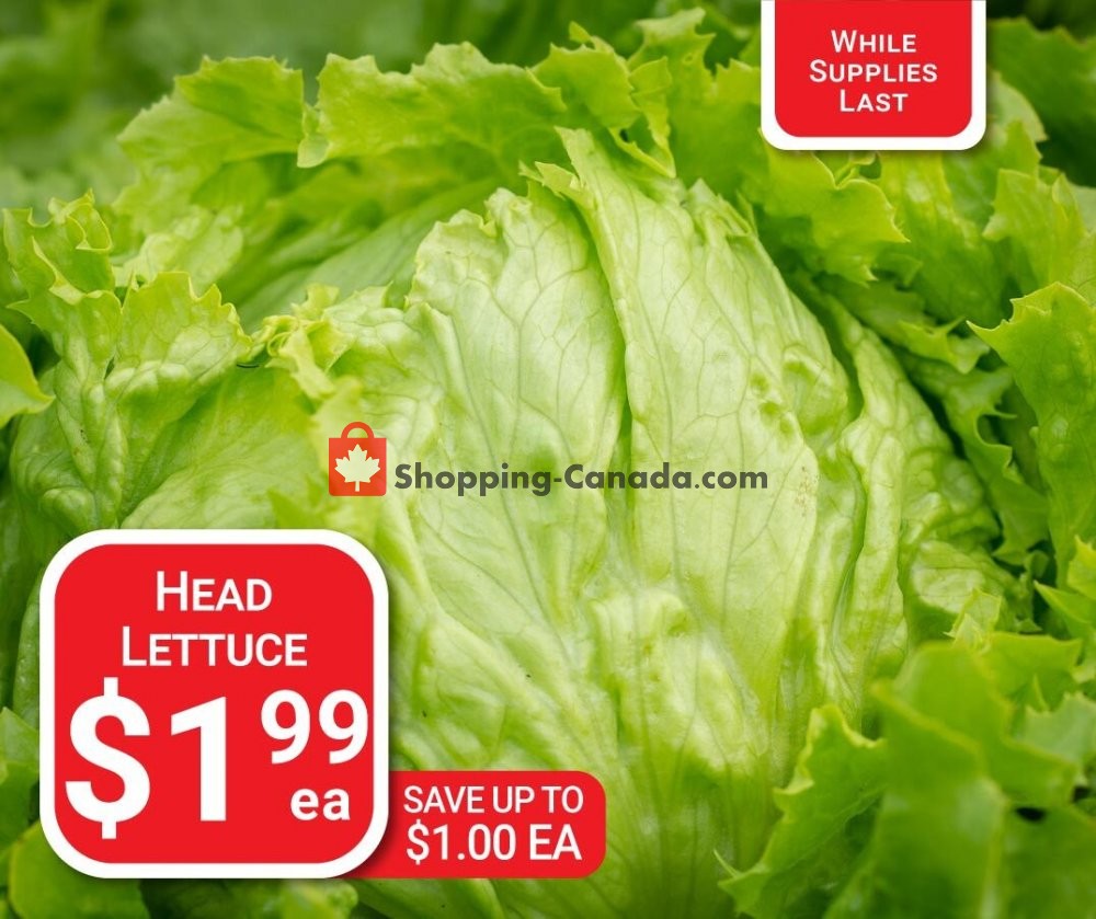 Dutchie's Fresh Market flyer from Tuesday December 22, 2020 to Tuesday December 22, 2020 - page 28