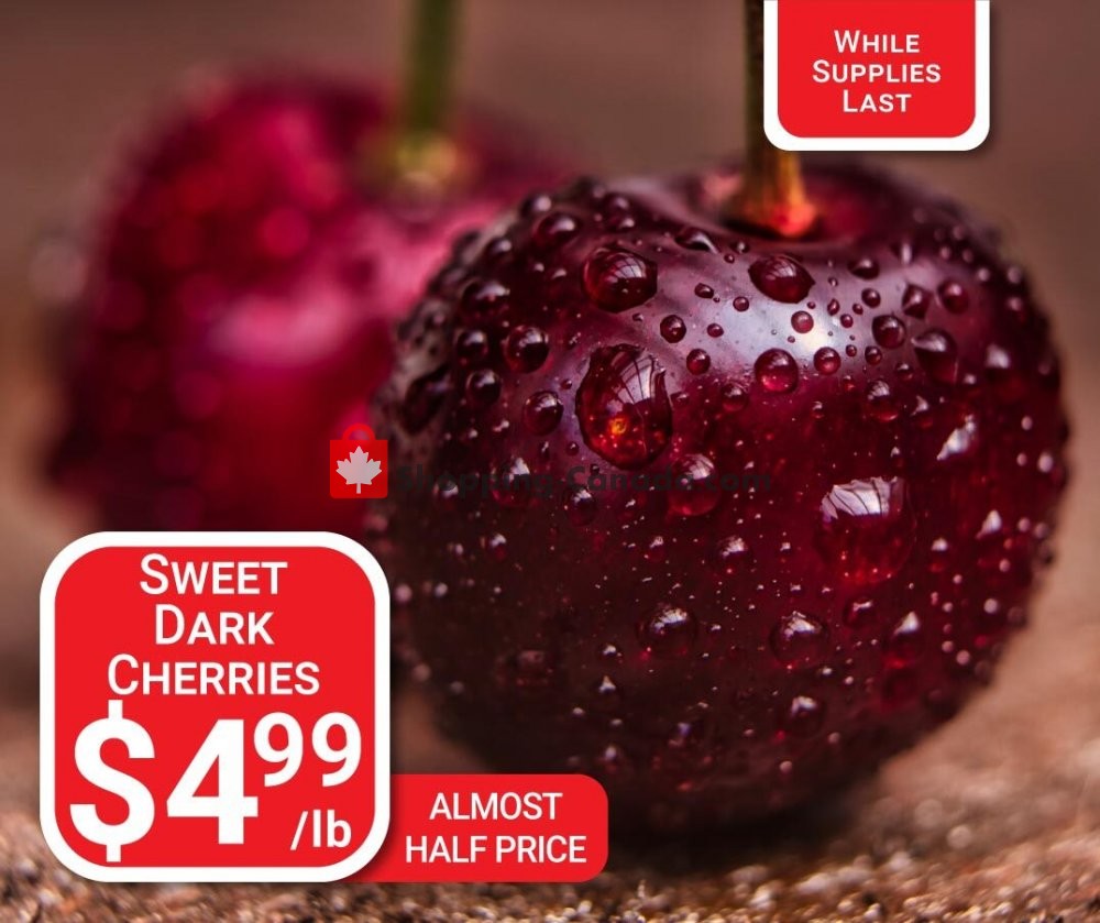 Dutchie's Fresh Market flyer from Tuesday December 22, 2020 to Tuesday December 22, 2020 - page 32