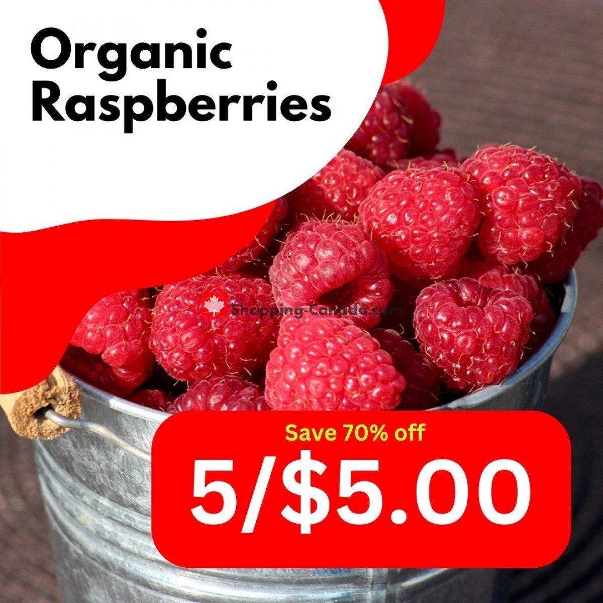 Dutchie's Fresh Market flyer from Wednesday June 21, 2023 to Wednesday June 21, 2023 - page 11