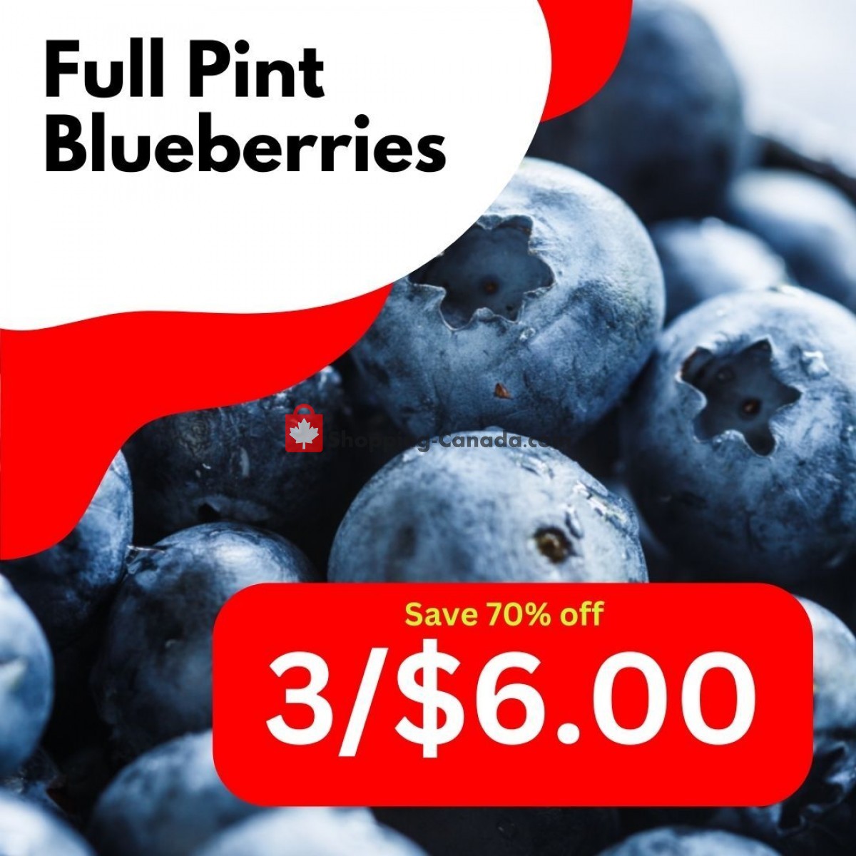 Dutchie's Fresh Market flyer from Wednesday June 21, 2023 to Wednesday June 21, 2023 - page 12