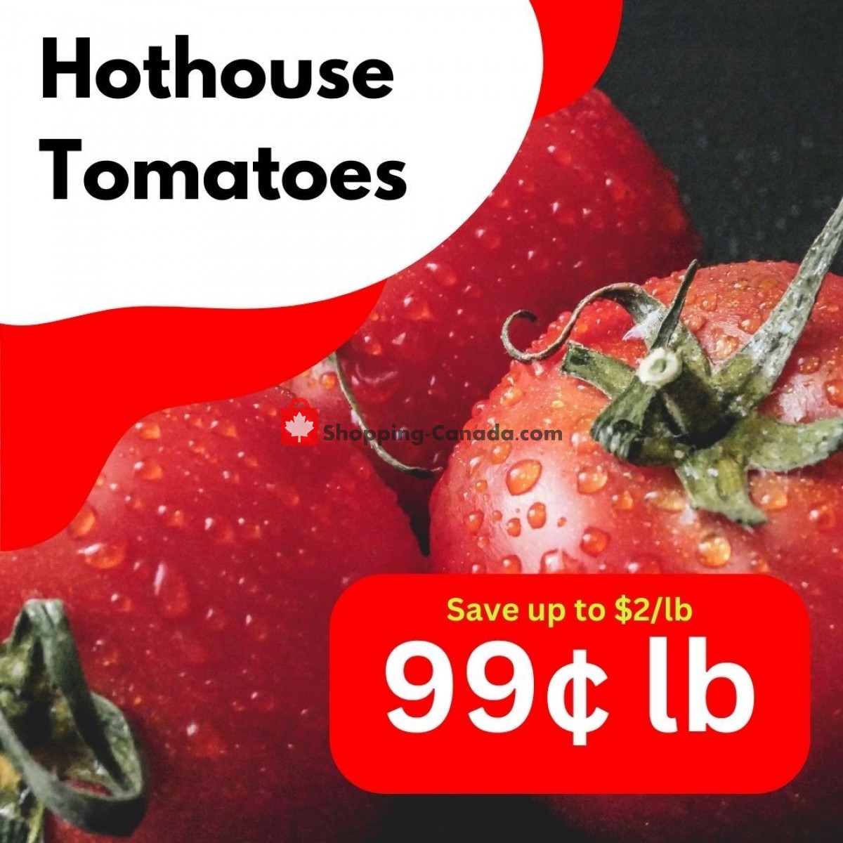 Dutchie's Fresh Market flyer from Wednesday June 21, 2023 to Wednesday June 21, 2023 - page 13