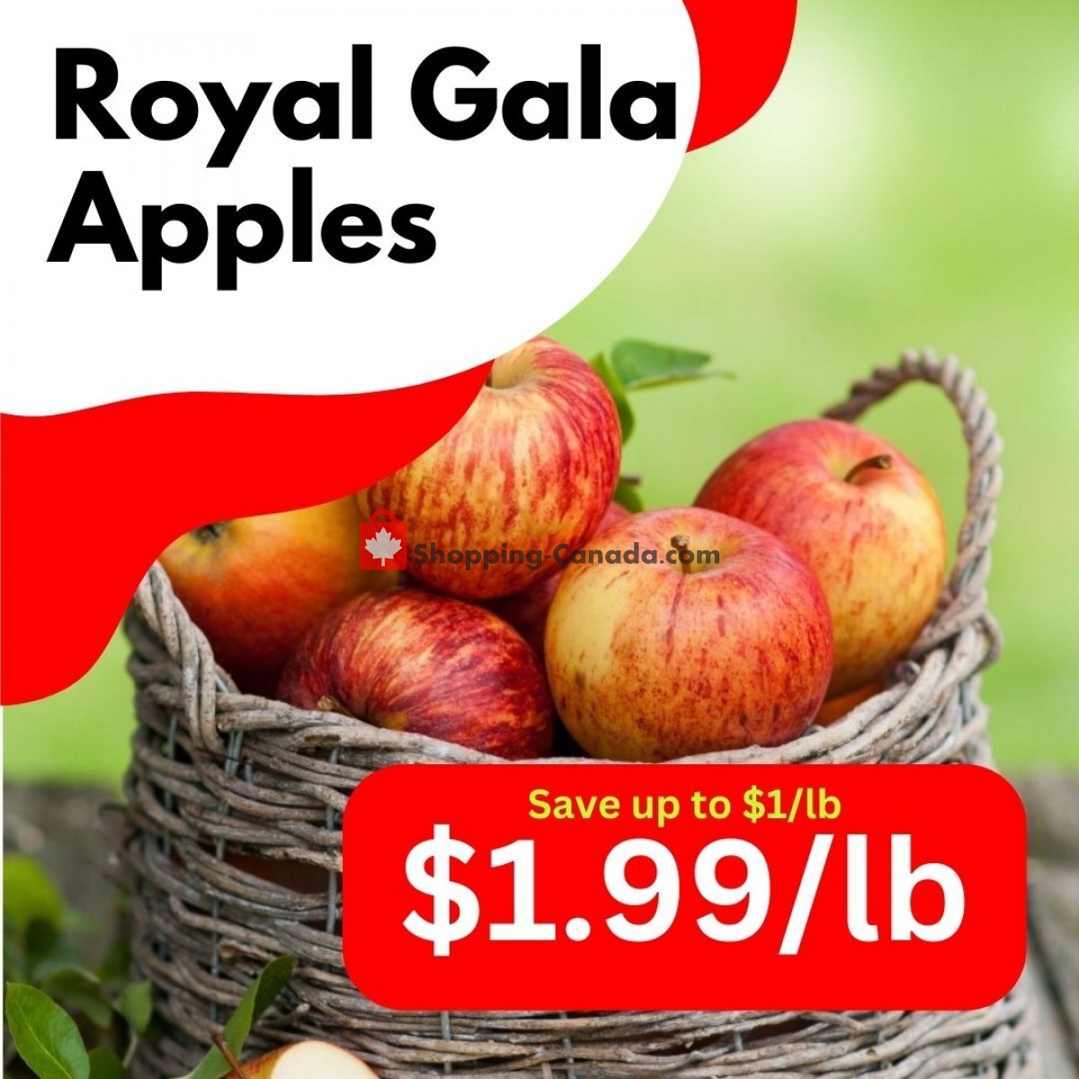 Dutchie's Fresh Market flyer from Wednesday June 21, 2023 to Wednesday June 21, 2023 - page 27