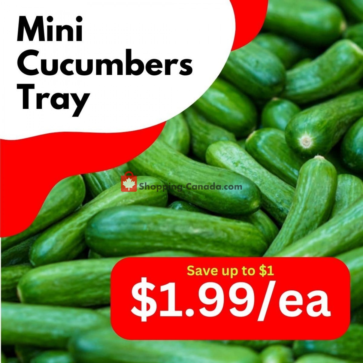 Dutchie's Fresh Market flyer from Wednesday June 21, 2023 to Wednesday June 21, 2023 - page 28