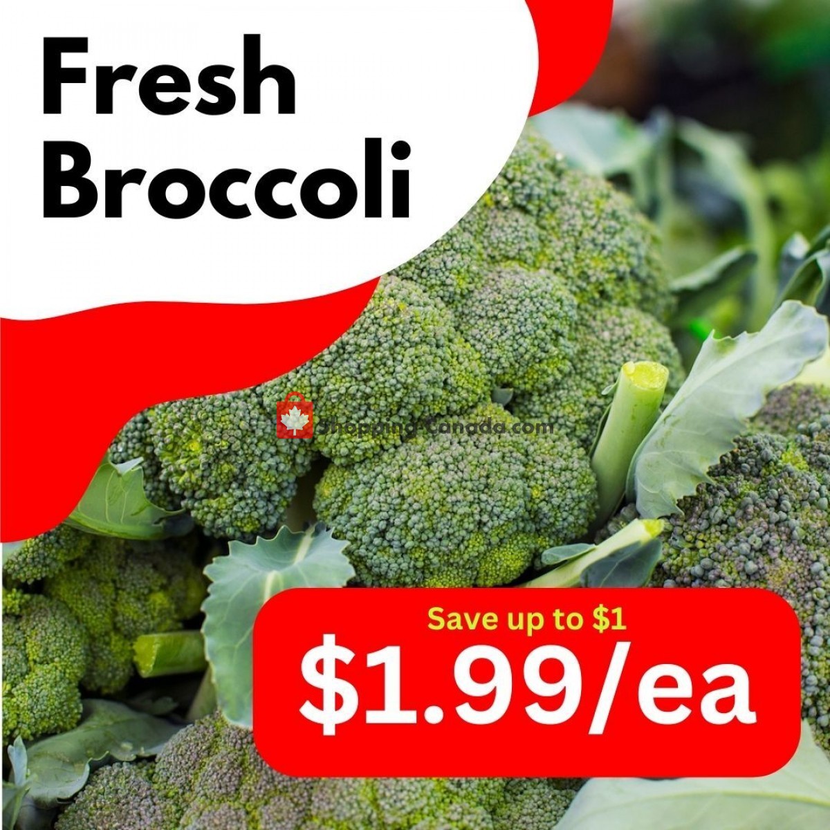 Dutchie's Fresh Market flyer from Wednesday June 21, 2023 to Wednesday June 21, 2023 - page 29