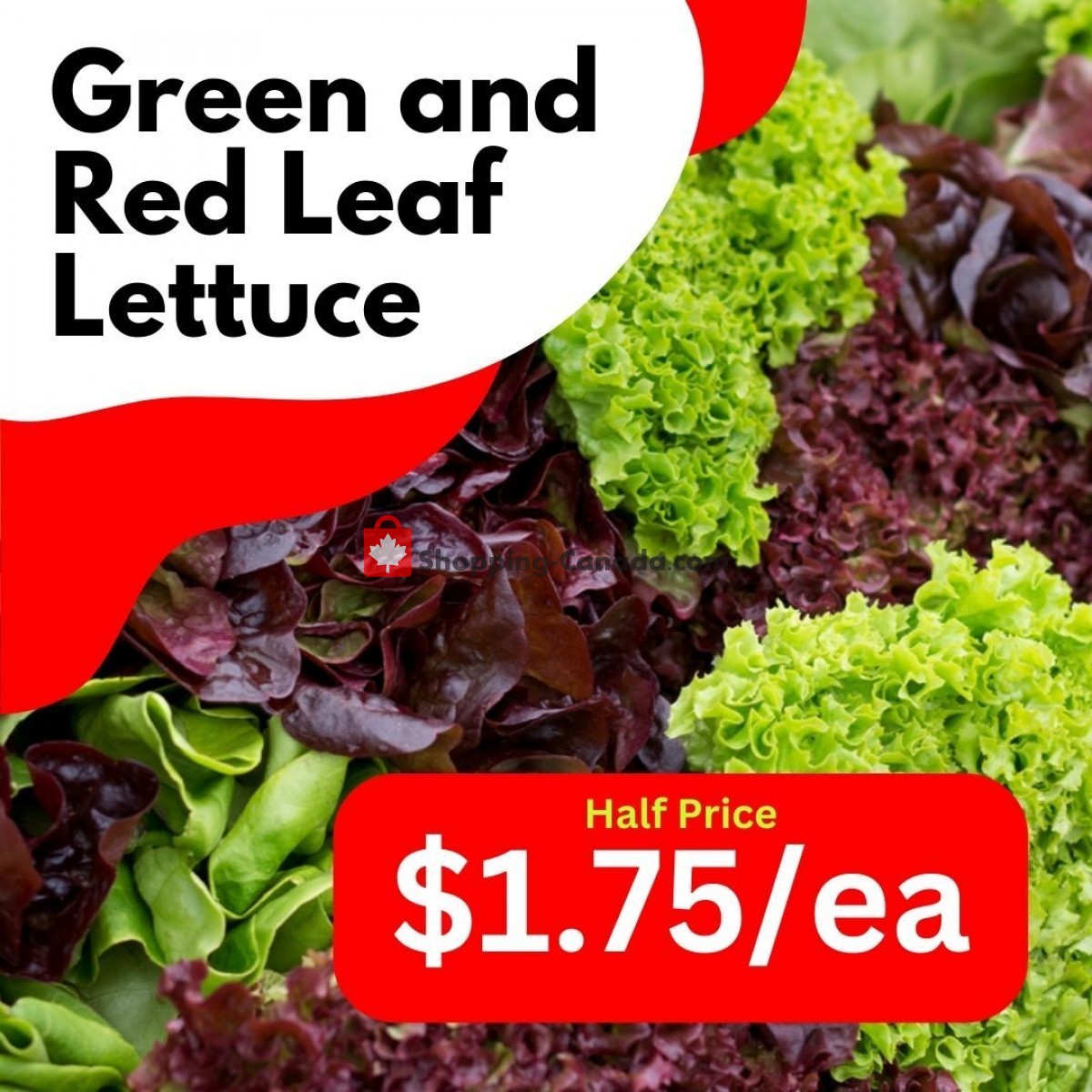 Dutchie's Fresh Market flyer from Wednesday June 21, 2023 to Wednesday June 21, 2023 - page 41