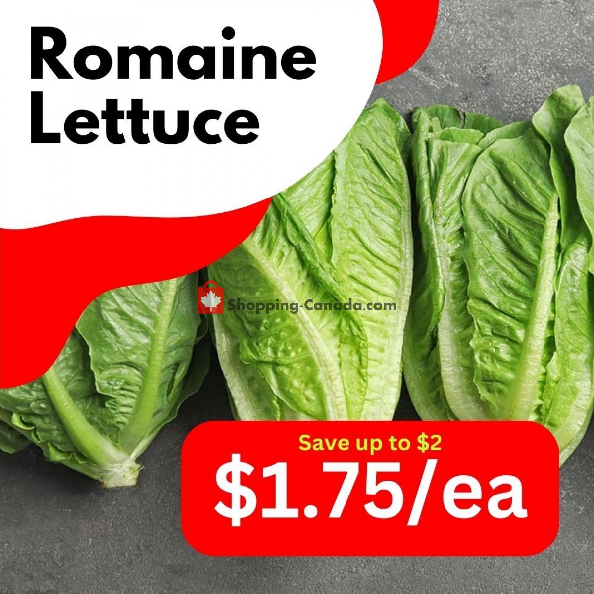 Dutchie's Fresh Market flyer from Wednesday June 21, 2023 to Wednesday June 21, 2023 - page 42