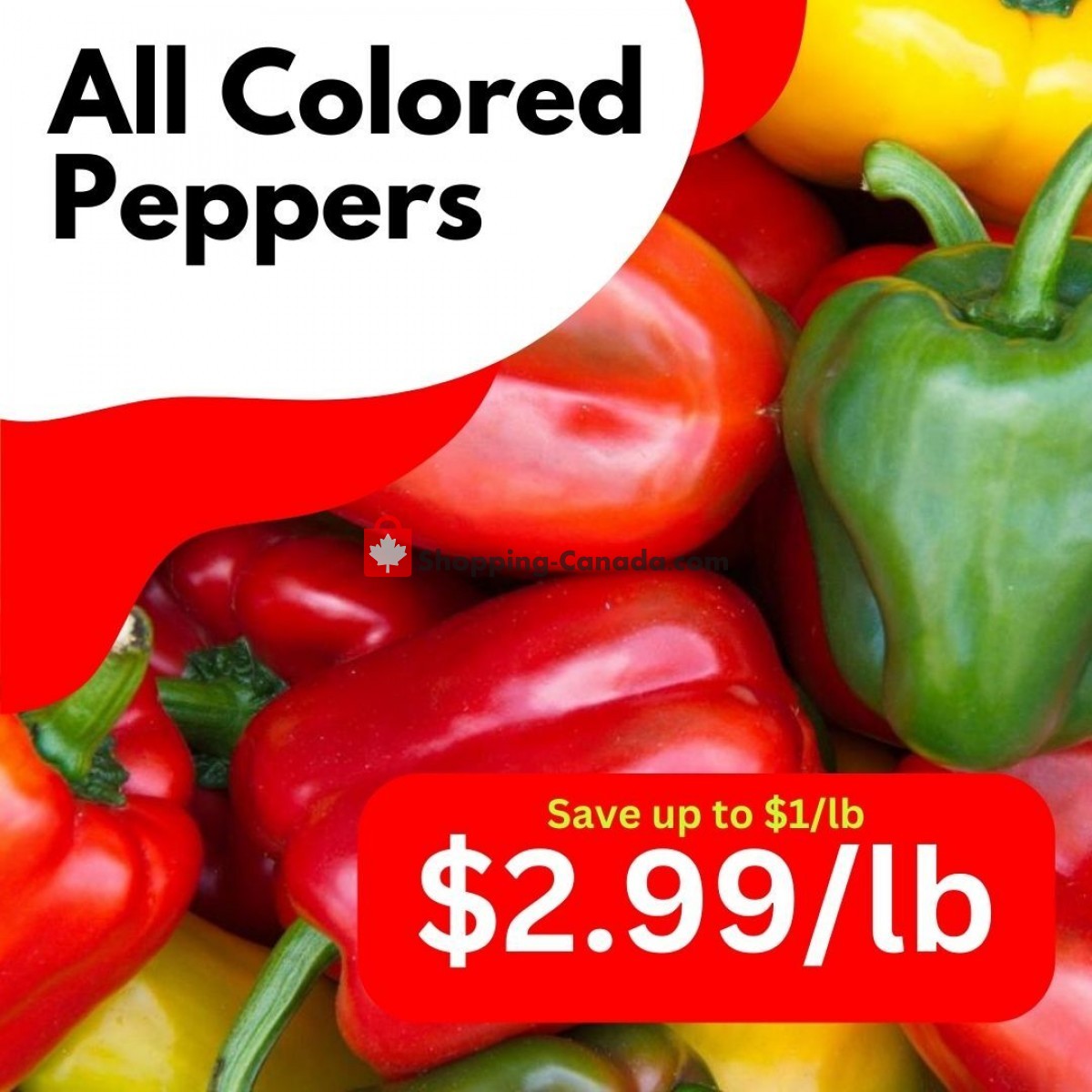 Dutchie's Fresh Market flyer from Wednesday June 21, 2023 to Wednesday June 21, 2023 - page 44