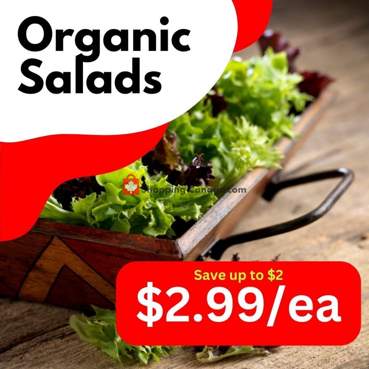 Dutchie's Fresh Market flyer from Wednesday June 21, 2023 to Wednesday June 21, 2023 - page 45