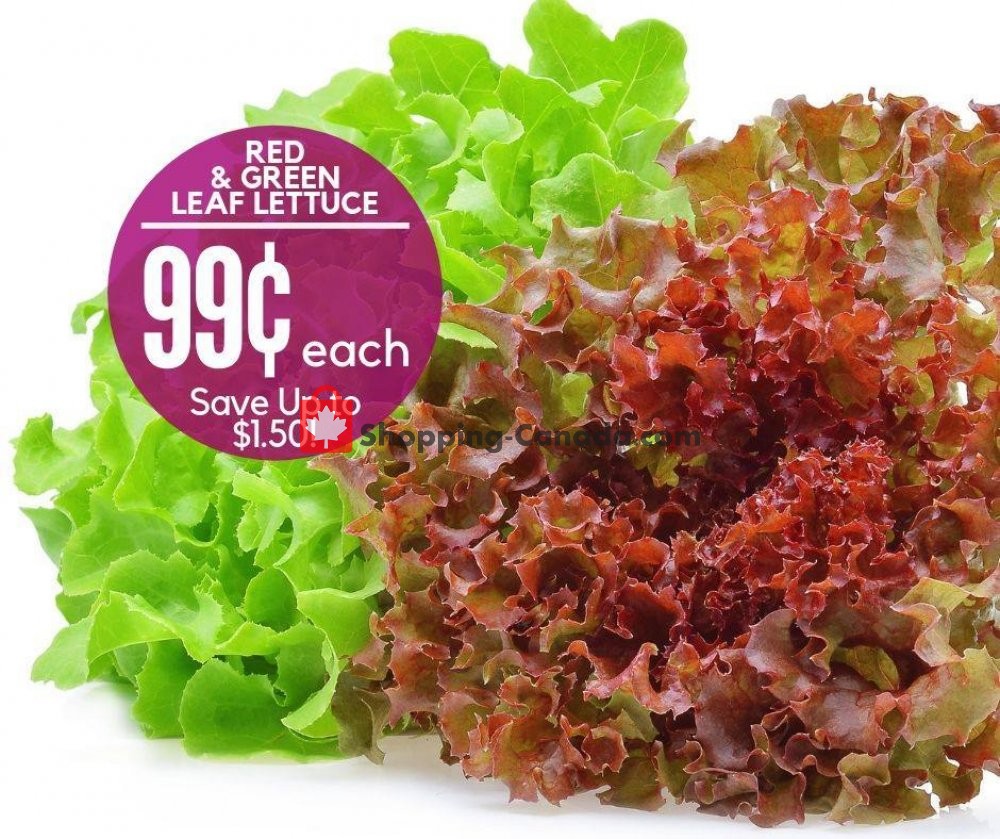 Dutchie's Fresh Market flyer from Friday August 9, 2019 to Saturday August 10, 2019 - page 11