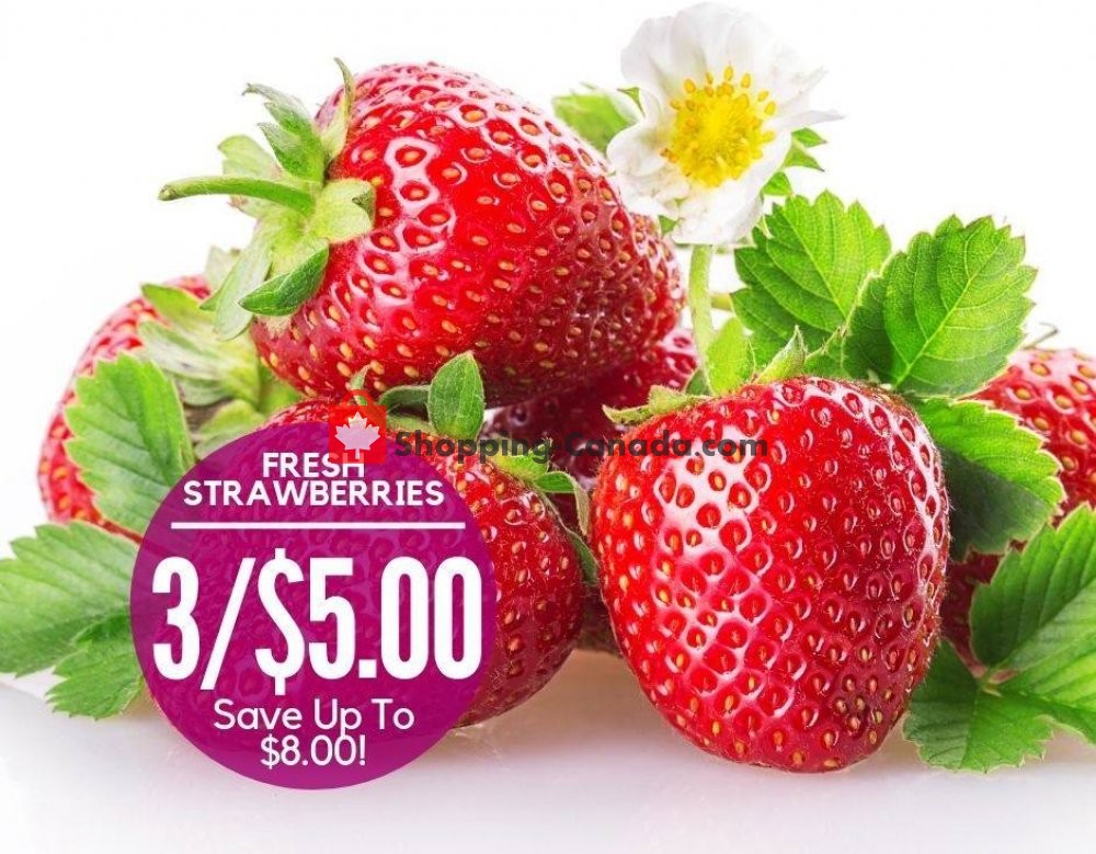 Dutchie's Fresh Market flyer from Friday August 9, 2019 to Saturday August 10, 2019 - page 12
