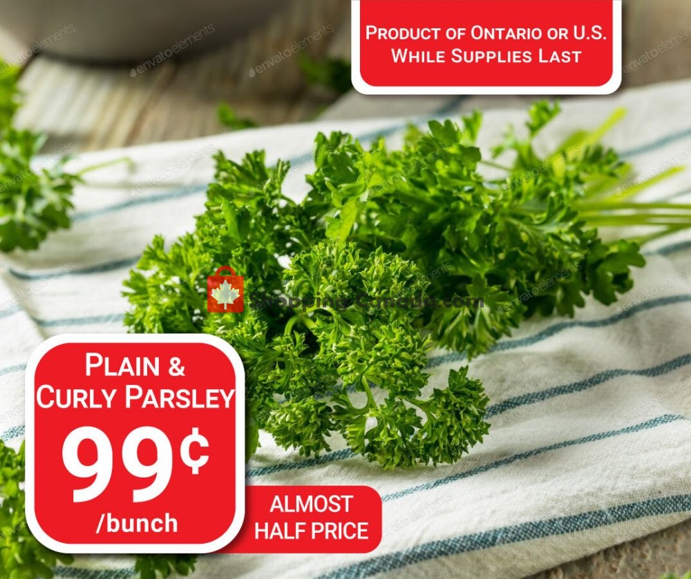 Dutchie's Fresh Market flyer from Tuesday October 13, 2020 to Tuesday October 13, 2020 - page 16