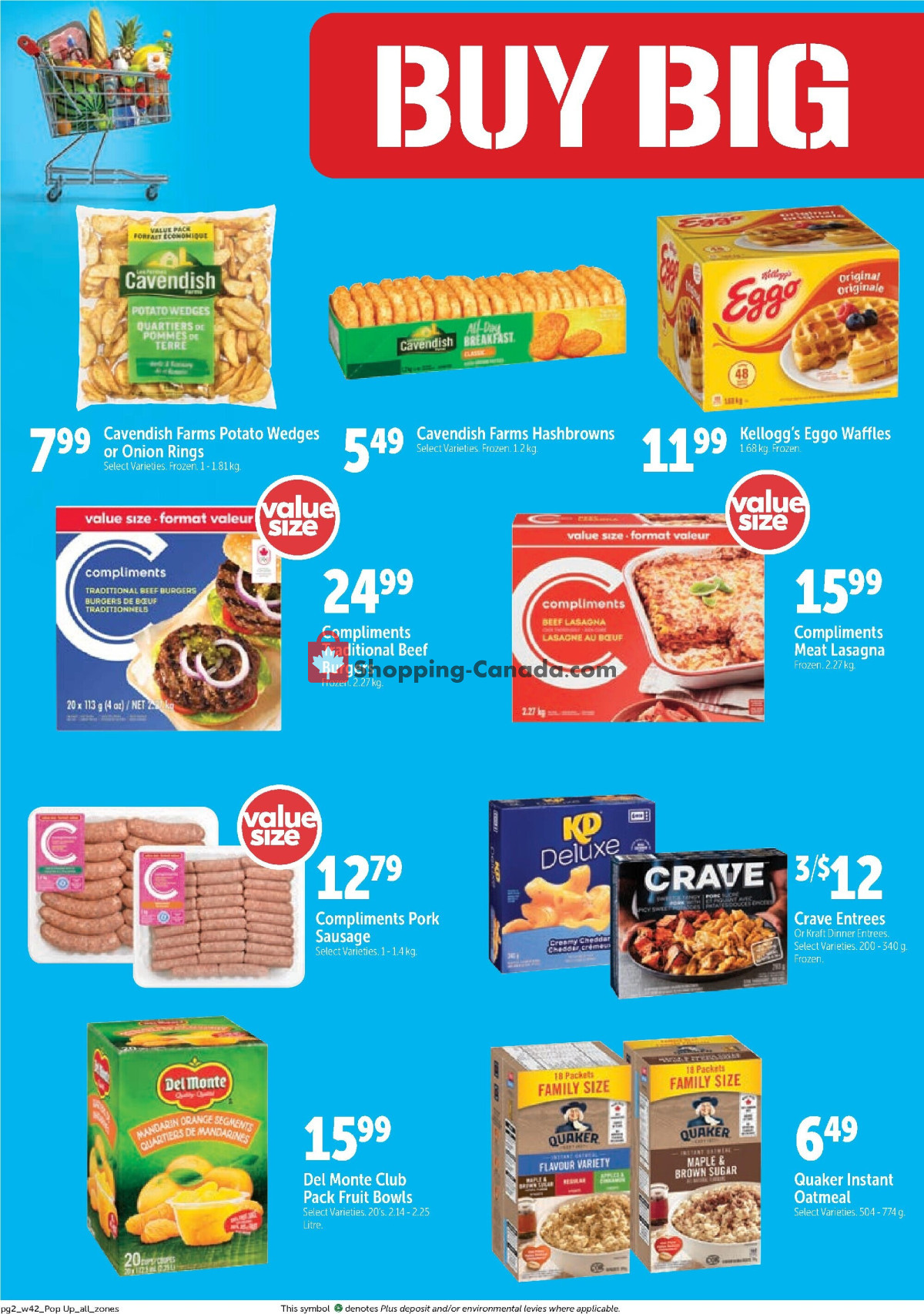 Family Foods flyer from Thursday February 15, 2024 to Wednesday February 21, 2024 - page 10