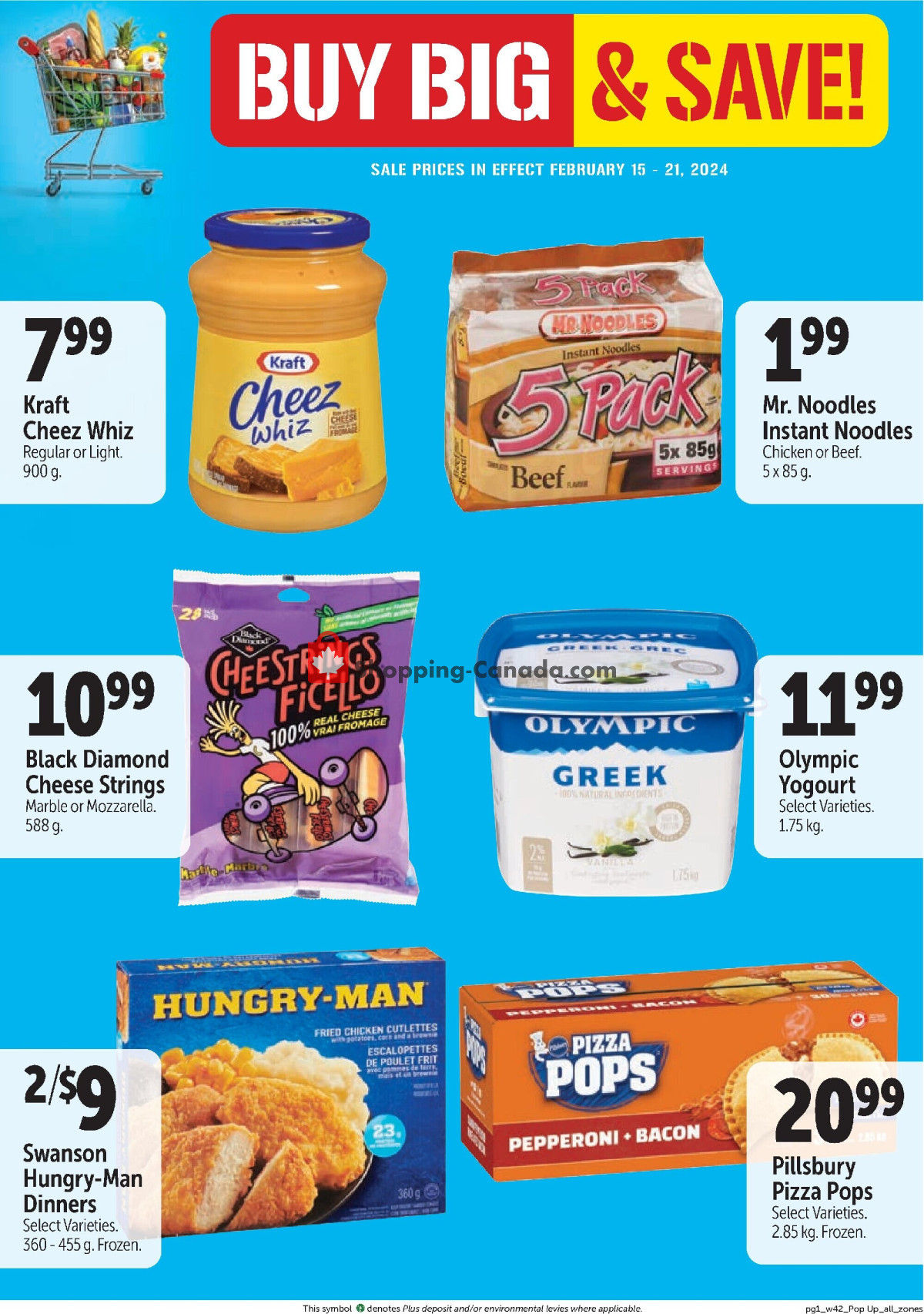 Family Foods flyer from Thursday February 15, 2024 to Wednesday February 21, 2024 - page 9