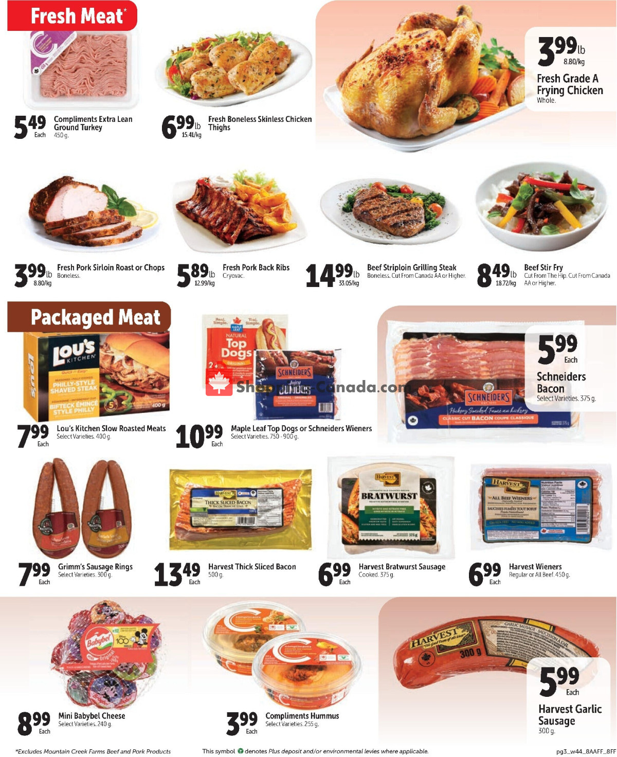 Family Foods flyer from Thursday February 29, 2024 to Wednesday March 6, 2024 - page 3