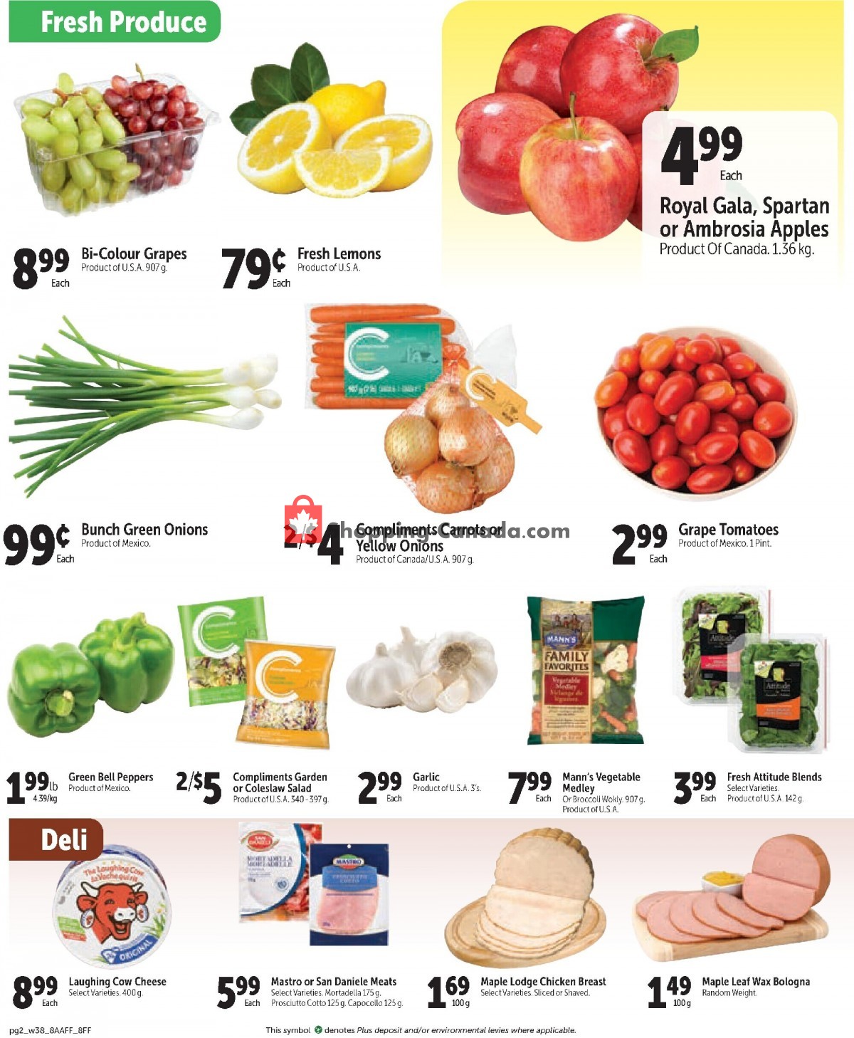 Family Foods flyer from Thursday January 19, 2023 to Wednesday January 25, 2023 - page 2