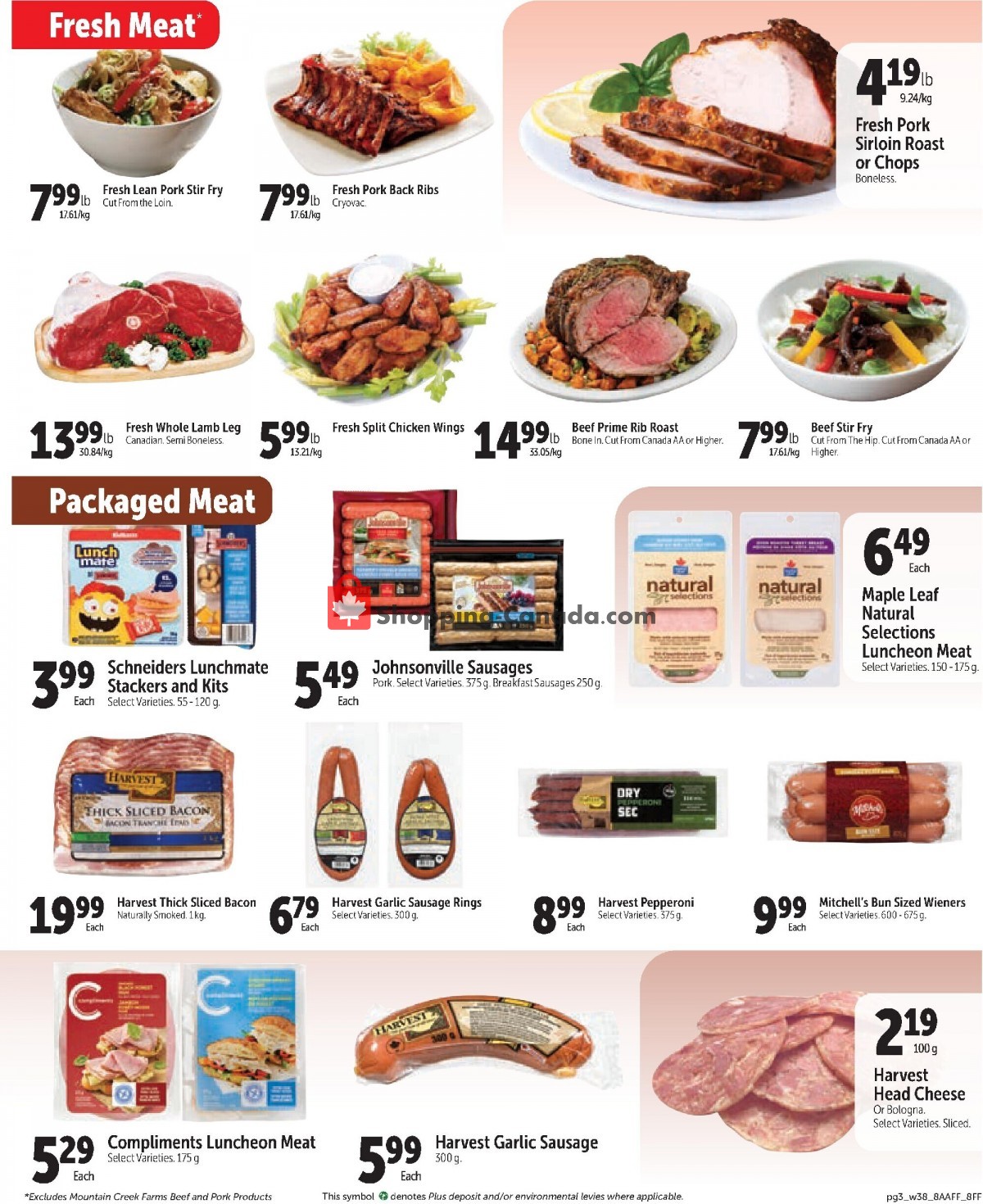 Family Foods flyer from Thursday January 19, 2023 to Wednesday January 25, 2023 - page 3