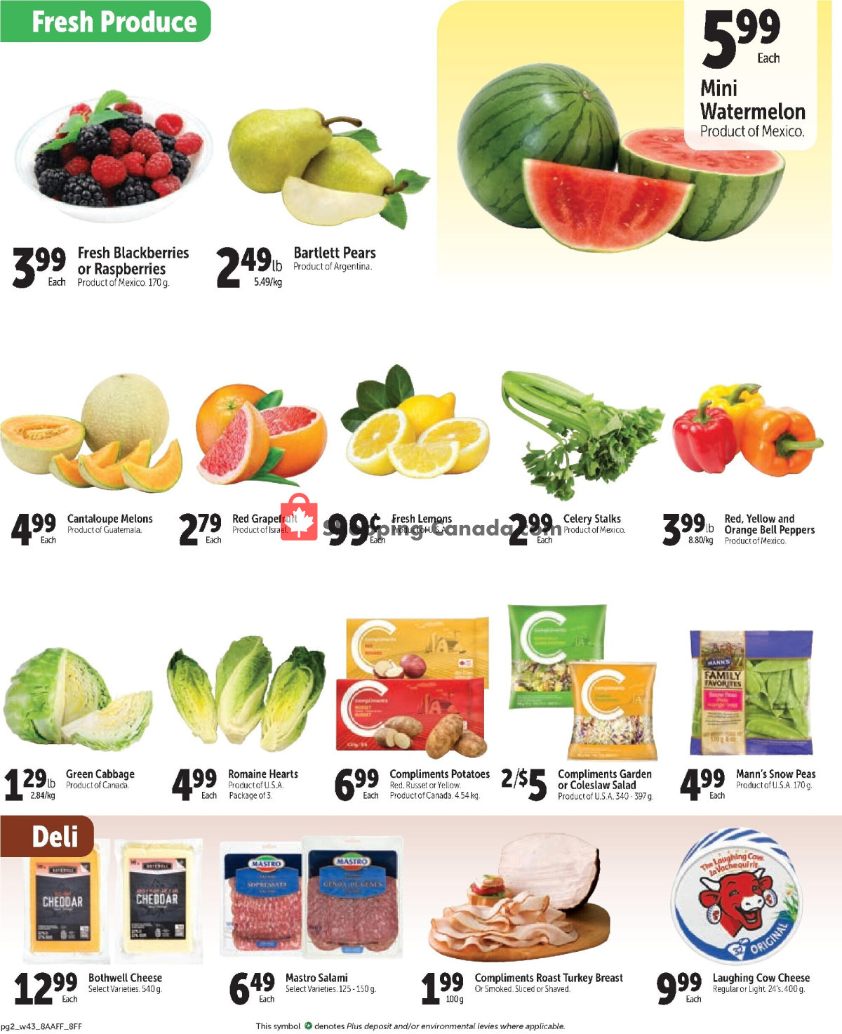 Family Foods flyer from Thursday February 22, 2024 to Wednesday February 28, 2024 - page 2