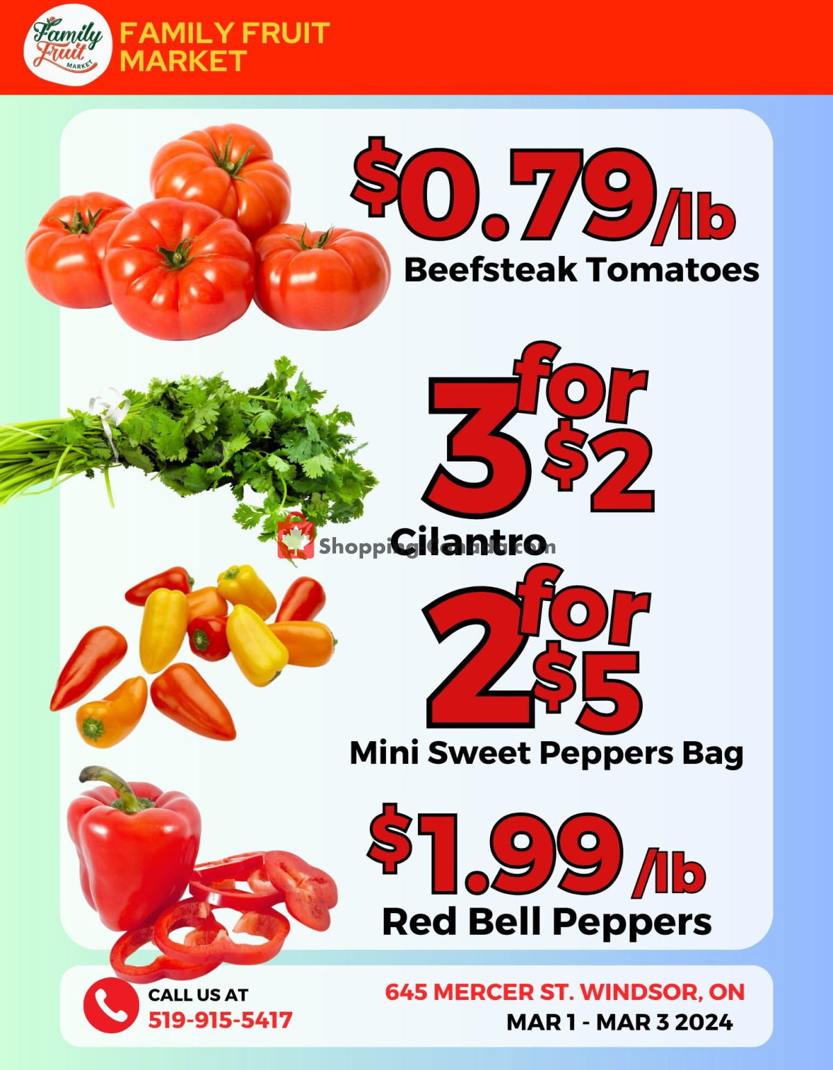 Family Fruit Market flyer from Friday March 1, 2024 to Sunday March 3, 2024 - page 3