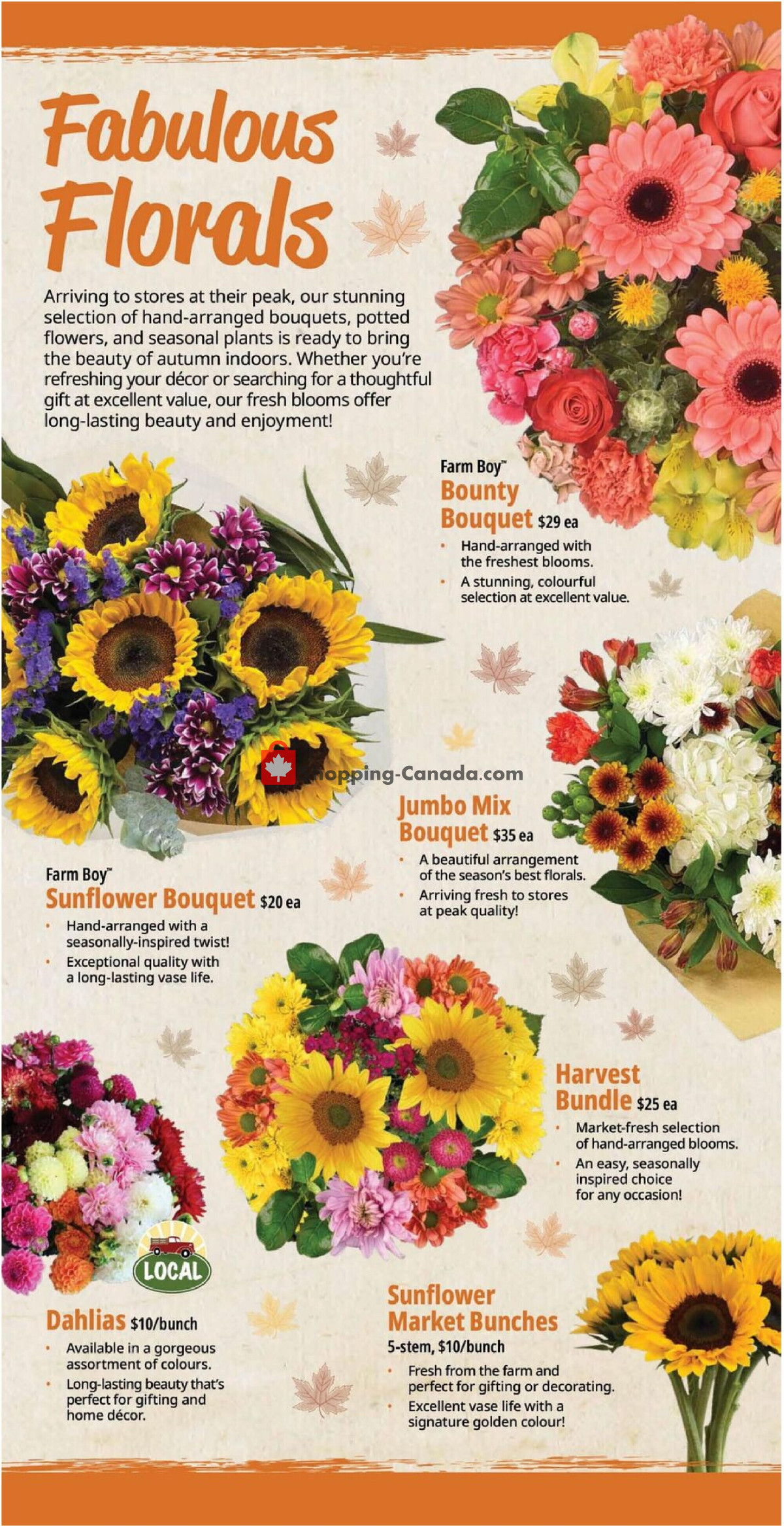 Farm Boy flyer from Thursday August 27, 2026 to Wednesday September 2, 2026 - page 7