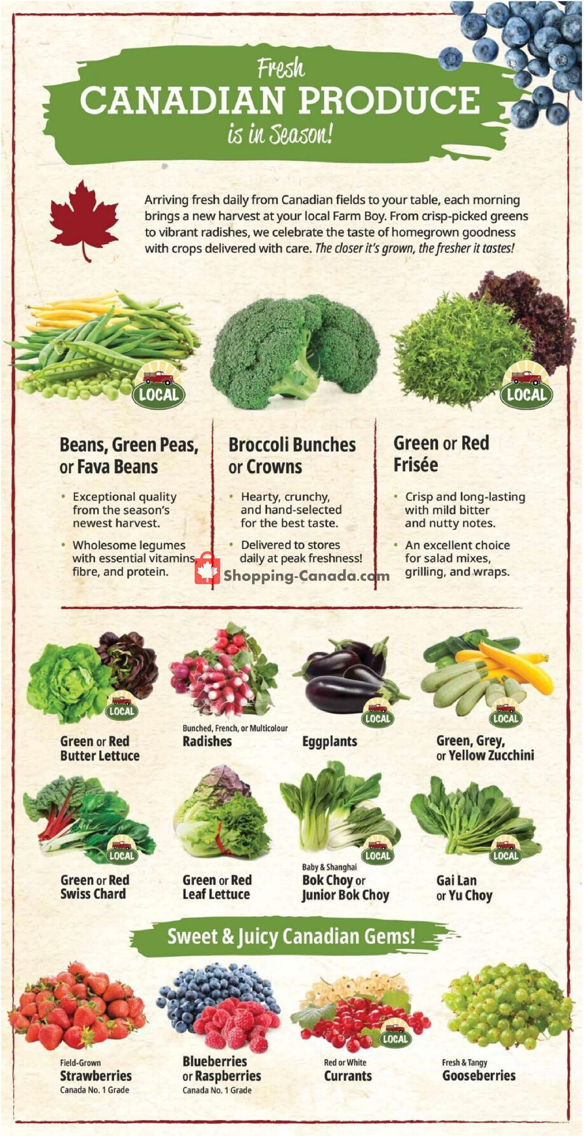 Farm Boy flyer from Thursday July 16, 2026 to Wednesday July 22, 2026 - page 6