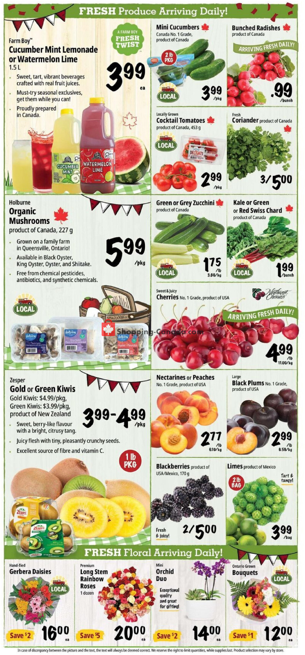 Farm Boy flyer from Thursday June 25, 2026 to Wednesday July 1, 2026 - page 4