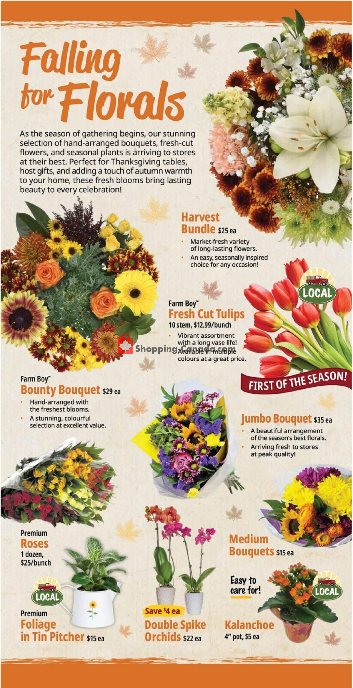 Farm Boy flyer from Thursday October 1, 2026 to Wednesday October 7, 2026 - page 7