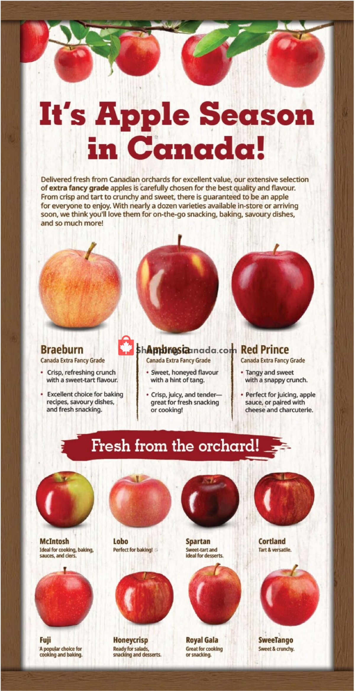 Farm Boy flyer from Thursday September 17, 2026 to Wednesday September 23, 2026 - page 7