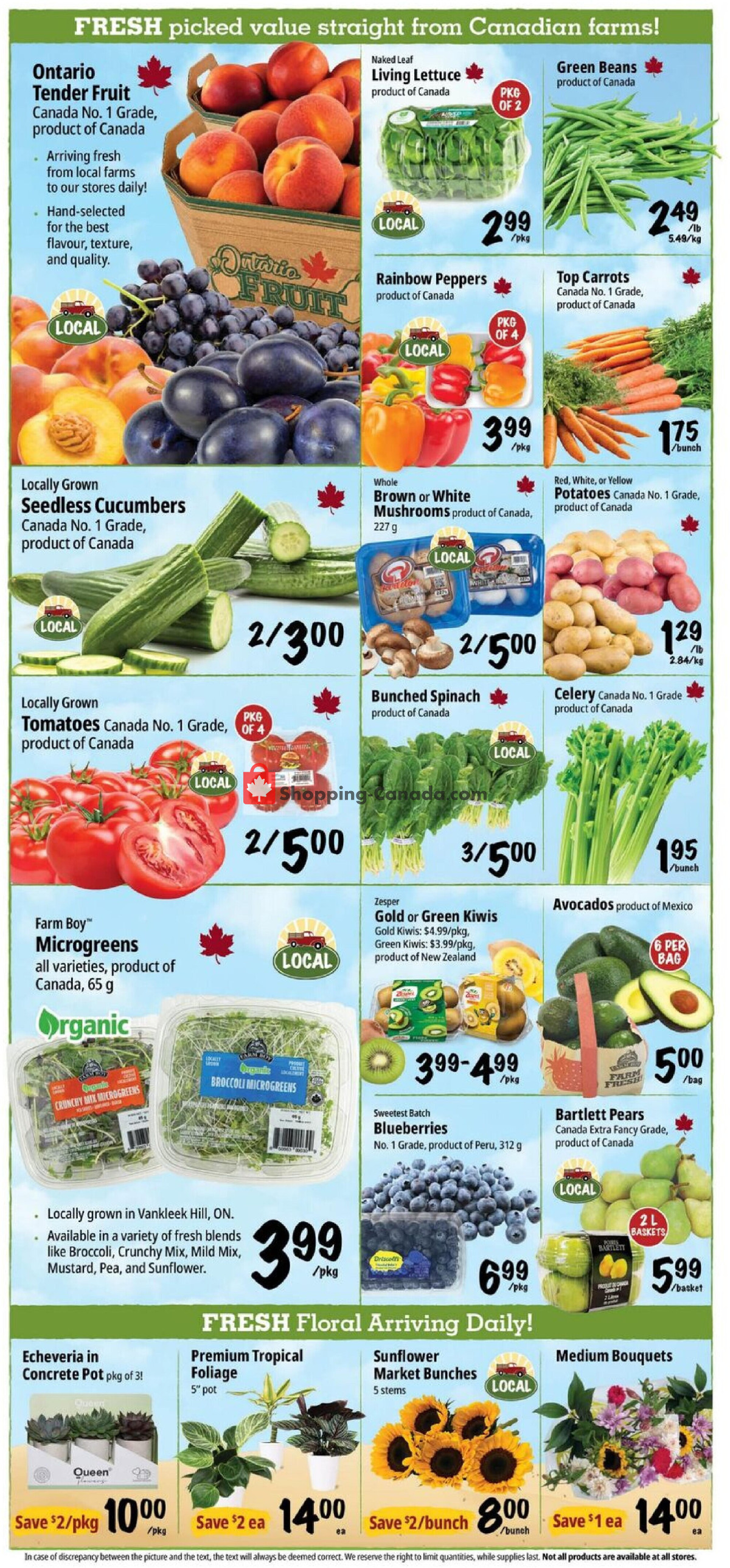Farm Boy flyer from Thursday September 3, 2026 to Wednesday September 9, 2026 - page 4