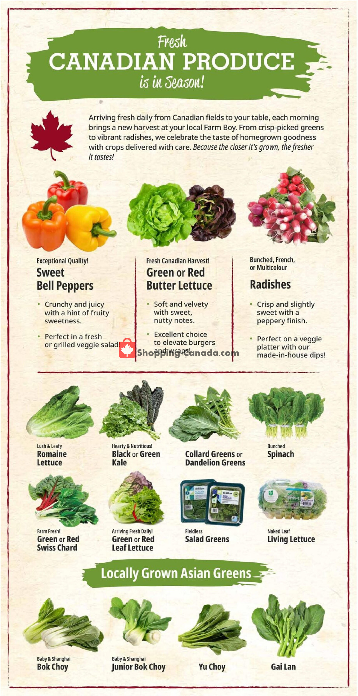 Farm Boy flyer from Thursday June 18, 2026 to Wednesday June 24, 2026 - page 9