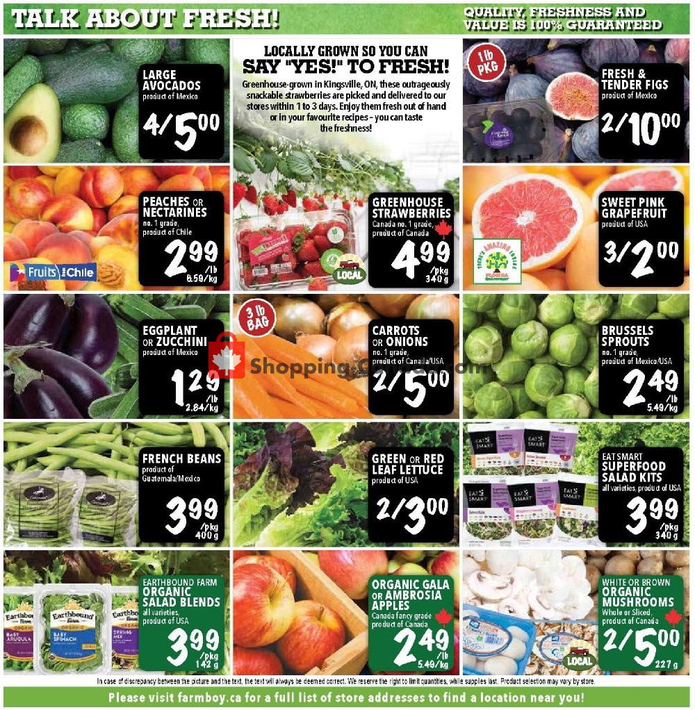 Farm Boy flyer from Thursday January 14, 2021 to Wednesday January 20, 2021 - page 5